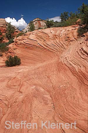 zion np - national park usa 040